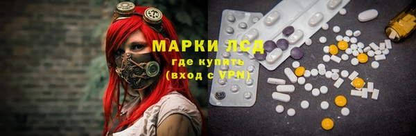 дмт Магас