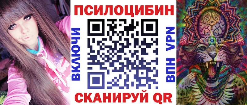 KRAKEN онион  Строитель  Псилоцибиновые грибы GOLDEN TEACHER  закладка 