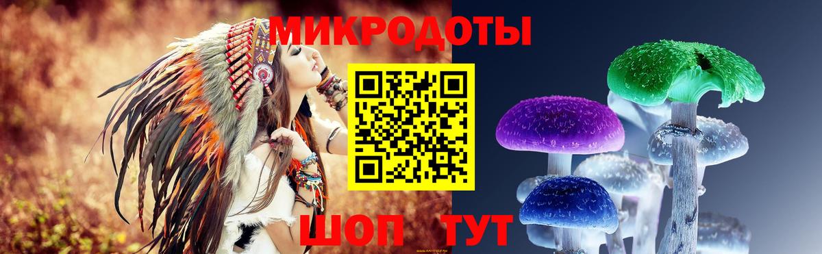 купить   Псилоцибиновые грибы GOLDEN TEACHER  Вход с VPN  Строитель  Галлюциногенные грибы MAGIC MUSHROOMS 