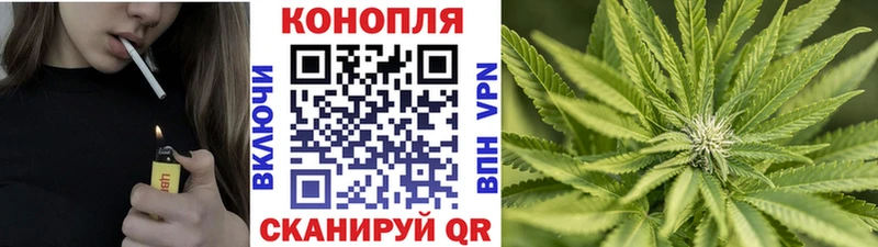 Конопля индика  Строитель 